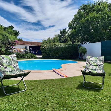 Qm - Quinta Da Morgadinha - Casa Em Quinta Rural Βίλα Cabecos Εξωτερικό φωτογραφία