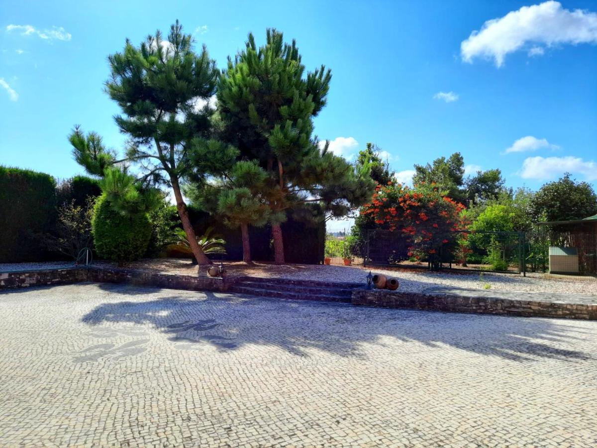 Qm - Quinta Da Morgadinha - Casa Em Quinta Rural Βίλα Cabecos Εξωτερικό φωτογραφία