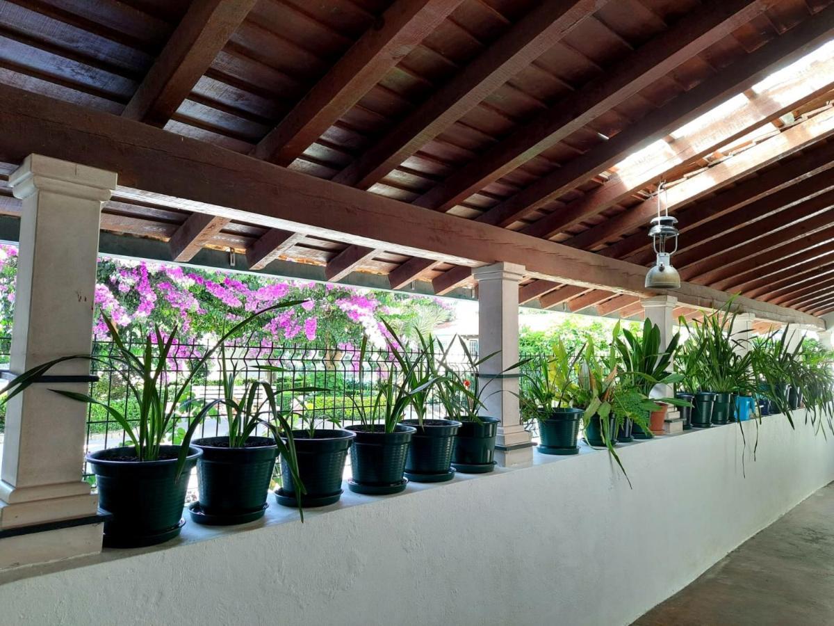 Qm - Quinta Da Morgadinha - Casa Em Quinta Rural Βίλα Cabecos Εξωτερικό φωτογραφία
