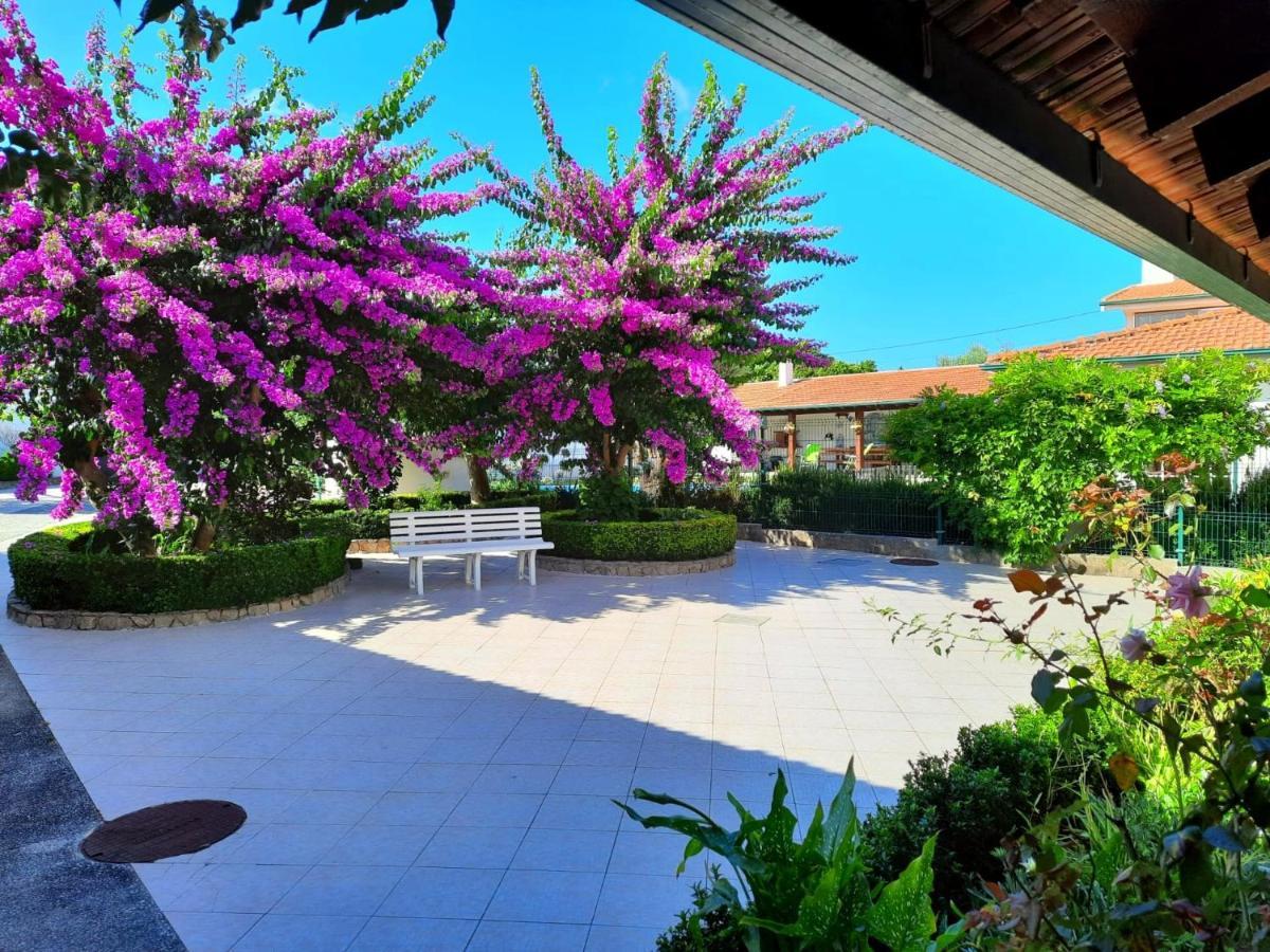 Qm - Quinta Da Morgadinha - Casa Em Quinta Rural Βίλα Cabecos Εξωτερικό φωτογραφία