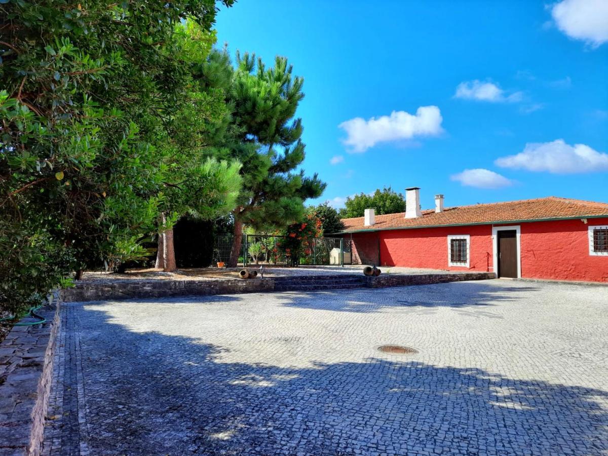 Qm - Quinta Da Morgadinha - Casa Em Quinta Rural Βίλα Cabecos Εξωτερικό φωτογραφία