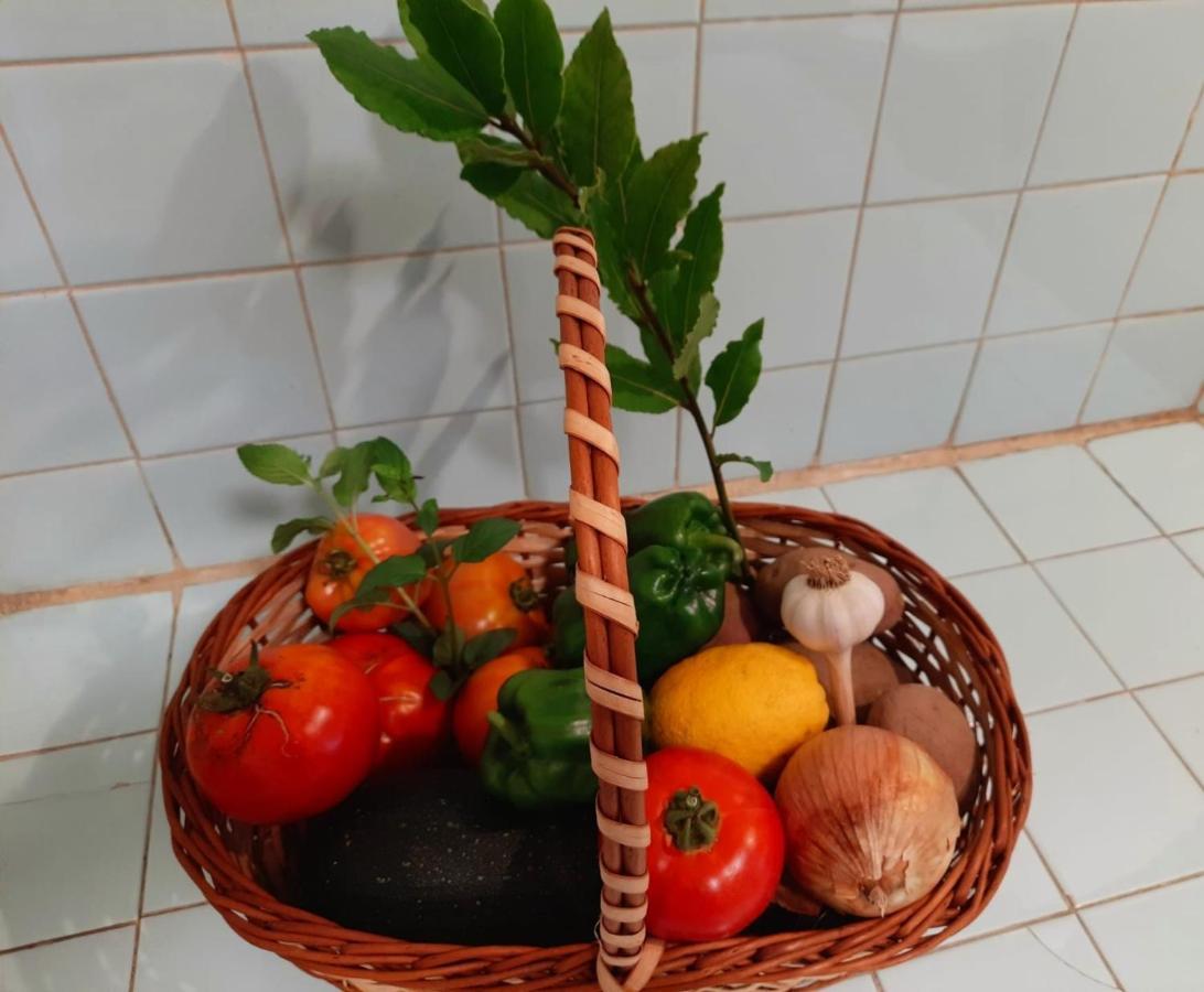 Qm - Quinta Da Morgadinha - Casa Em Quinta Rural Βίλα Cabecos Εξωτερικό φωτογραφία