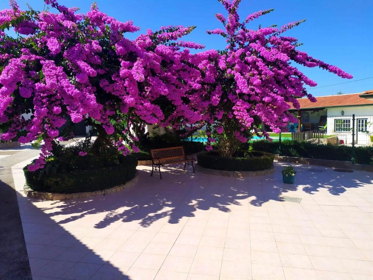 Qm - Quinta Da Morgadinha - Casa Em Quinta Rural Βίλα Cabecos Εξωτερικό φωτογραφία
