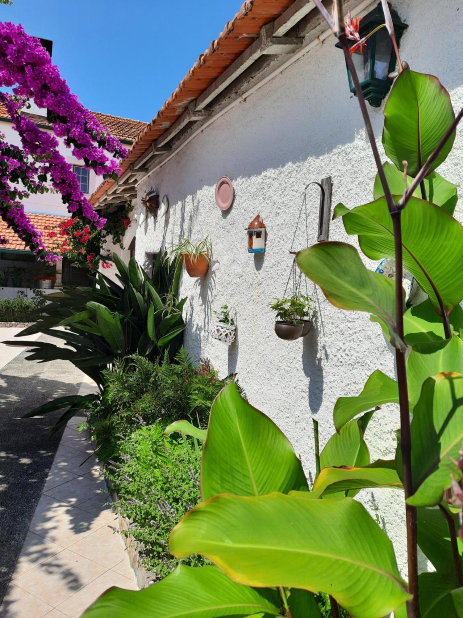 Qm - Quinta Da Morgadinha - Casa Em Quinta Rural Βίλα Cabecos Εξωτερικό φωτογραφία