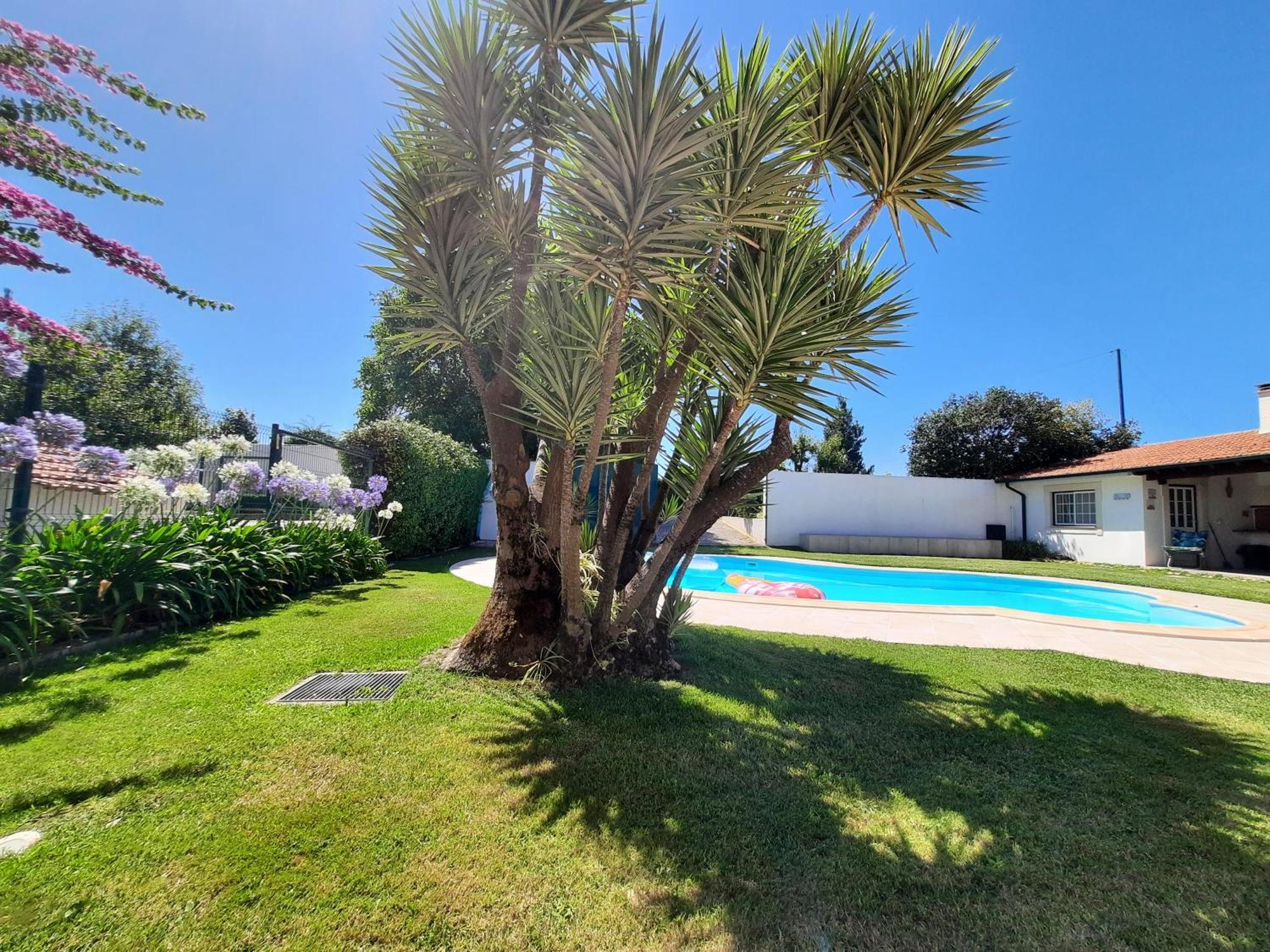 Qm - Quinta Da Morgadinha - Casa Em Quinta Rural Βίλα Cabecos Εξωτερικό φωτογραφία