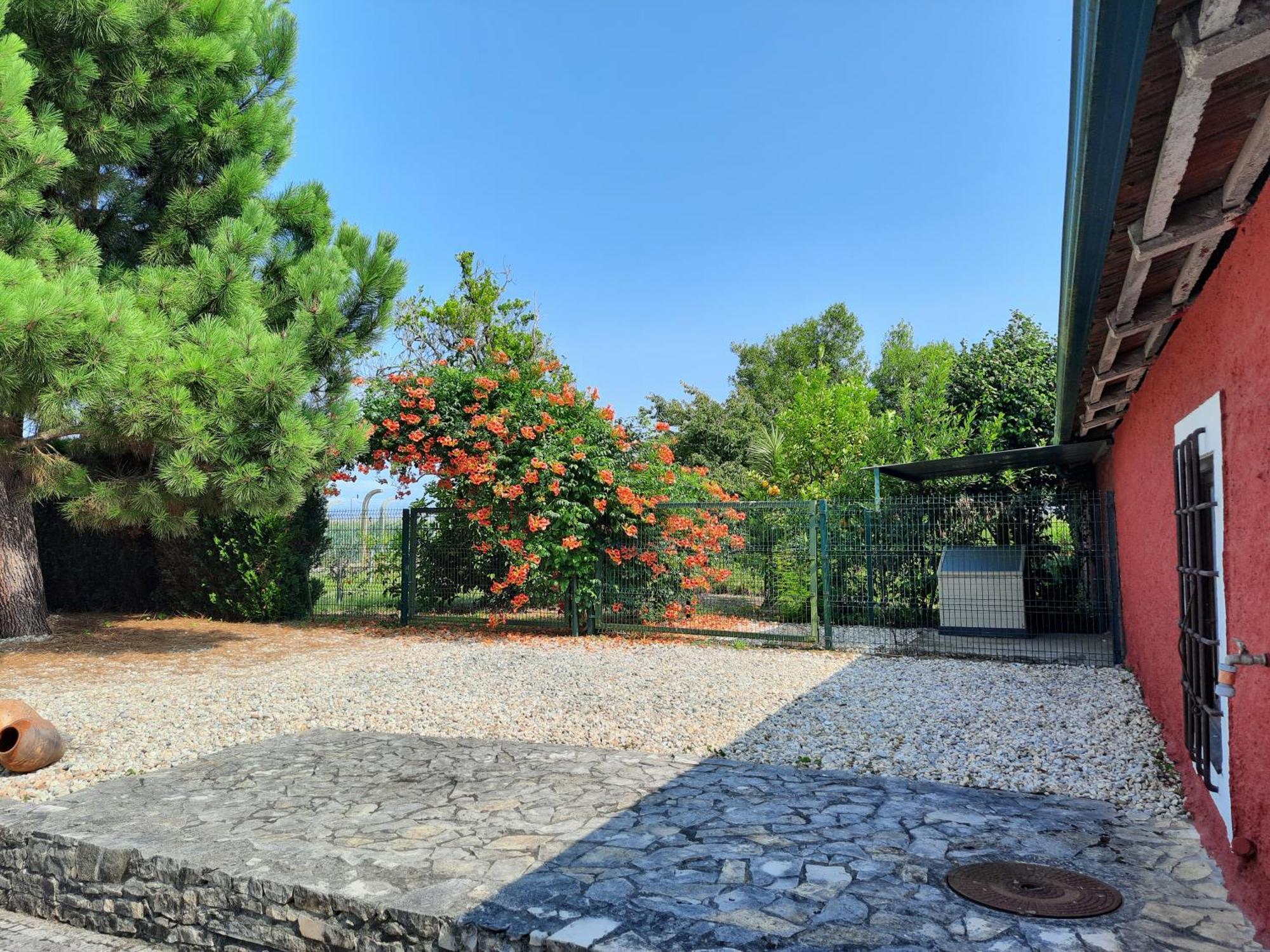 Qm - Quinta Da Morgadinha - Casa Em Quinta Rural Βίλα Cabecos Εξωτερικό φωτογραφία