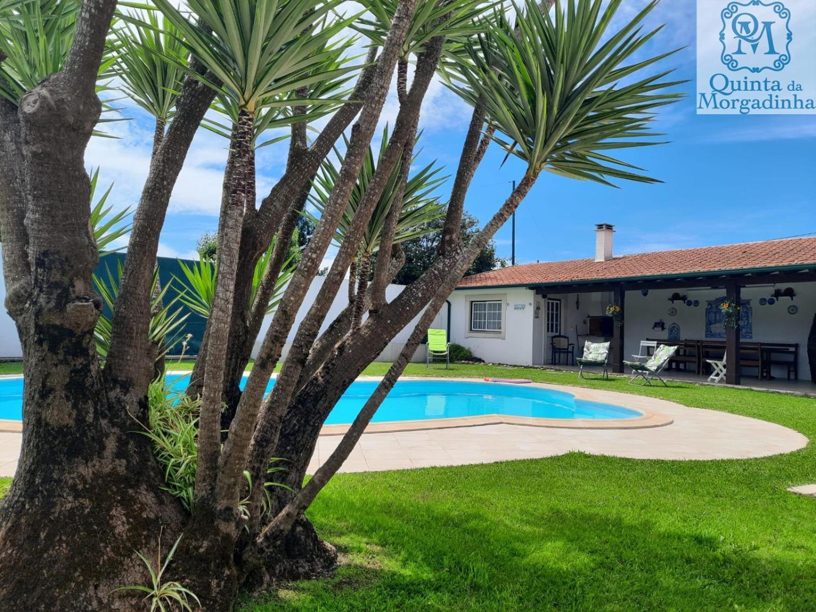 Qm - Quinta Da Morgadinha - Casa Em Quinta Rural Βίλα Cabecos Εξωτερικό φωτογραφία